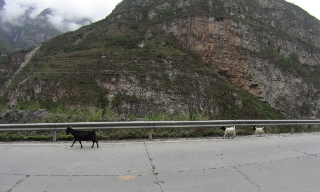 Biquettes route Hanyuan