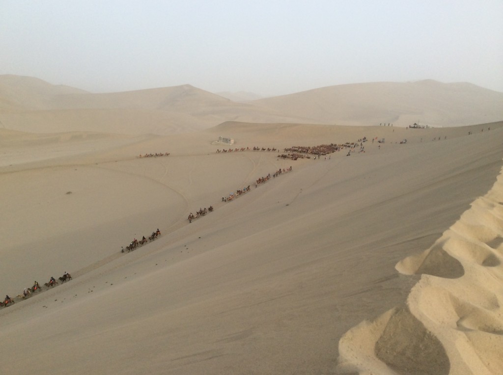 Touristes et chameaux, désert de Dunhuang