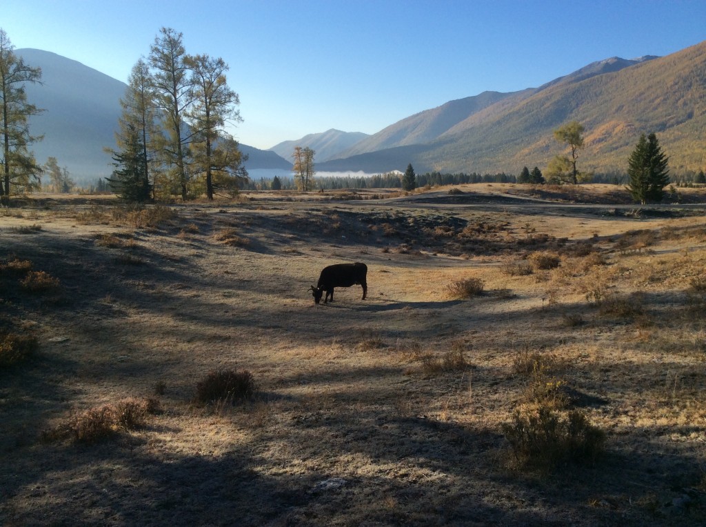 Matin lac Kanas