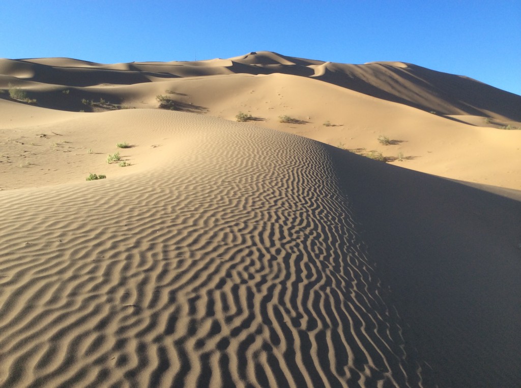 Désert de Gobi Chine