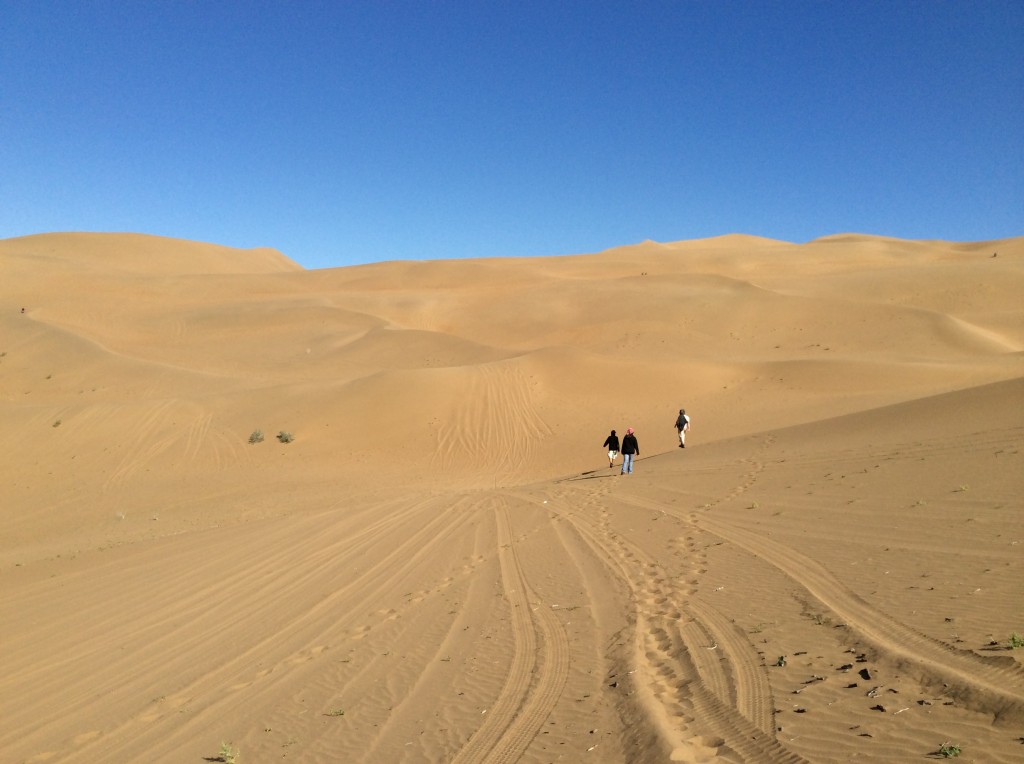 Randonnée dans le désert de Gobi