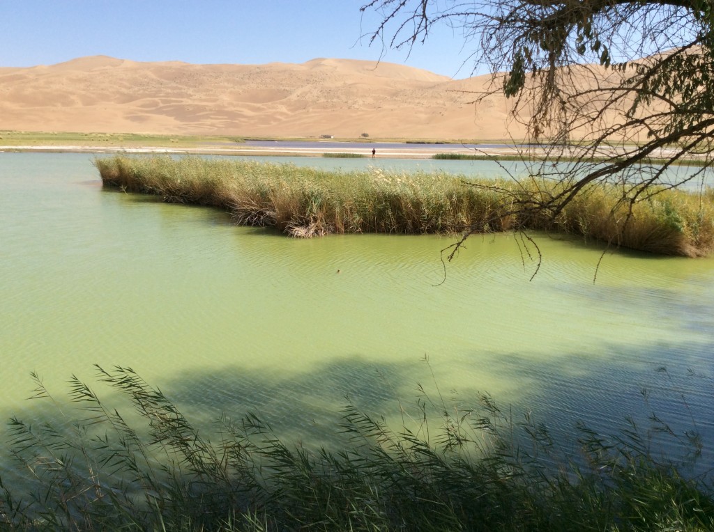 Lac oasis désert de Gobi