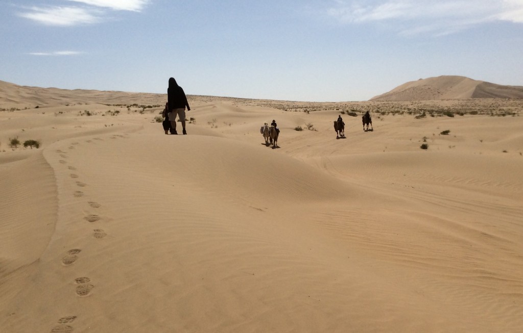 Marche dans le désert de Gobi