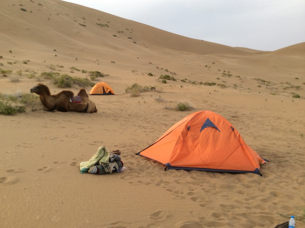 Bivouac désert Gobi