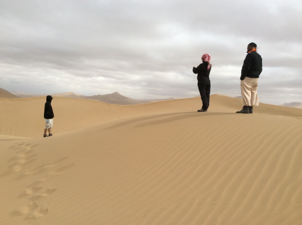 Dans le désert de Gobi