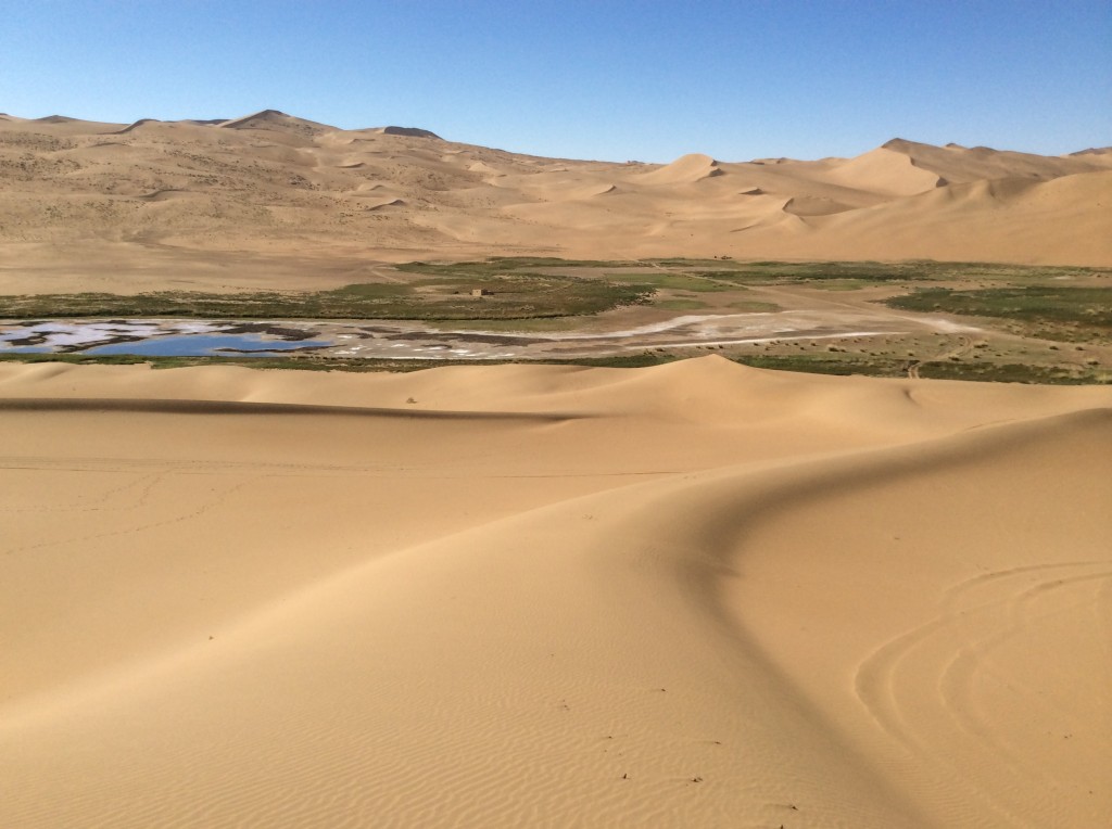Oasis salé désert Gobi