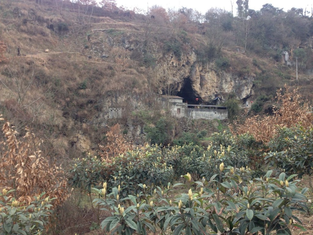 temple de Leishendong Leibo