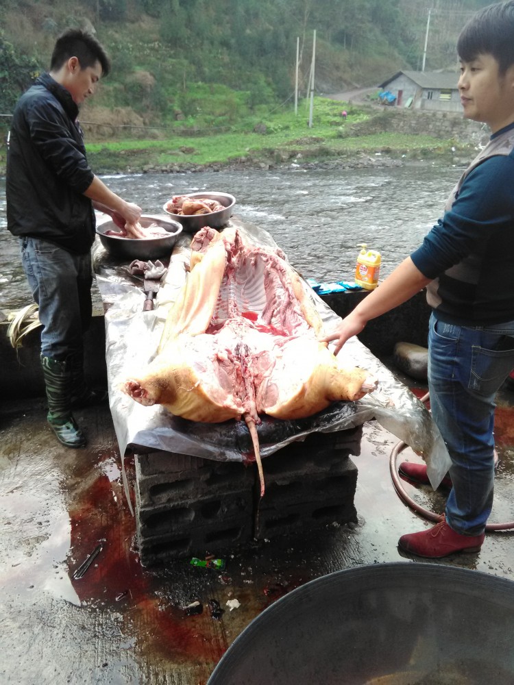 Dépeceage du cochon à Xining (Leibo)