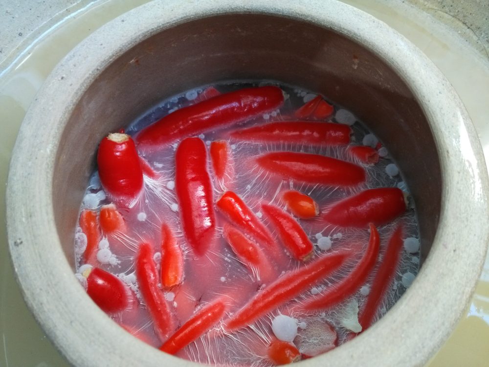 film blanc légumes lacto fermentés